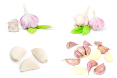 Collage of Clove garlic isolated over a white background clipart