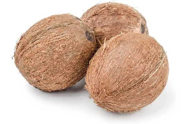 Kokosnuss auf einem Hintergrund — Stockfoto