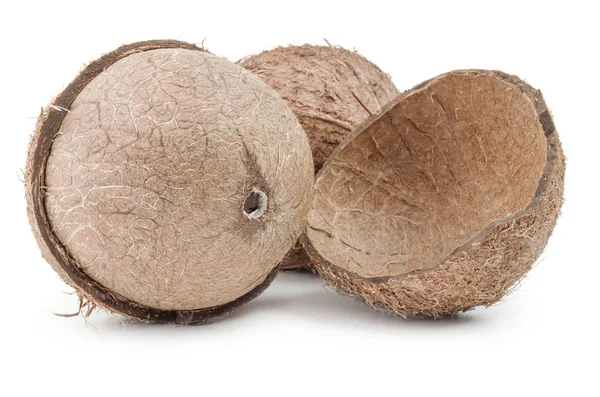 화이트에 코코넛 클로즈업 — 스톡 사진
