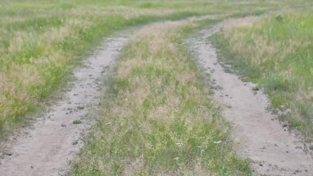 Landschap onverharde weg in een zaaien veld rechts afslaan. — Stockvideo