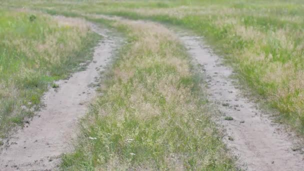 Povera strada sterrata in campagna da vicino . — Video Stock