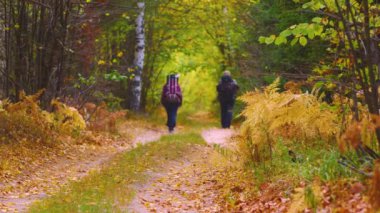 Sırt çantalı iki turist orman yolunda yürüyor. Rahatla konsept. Yürüyüş
