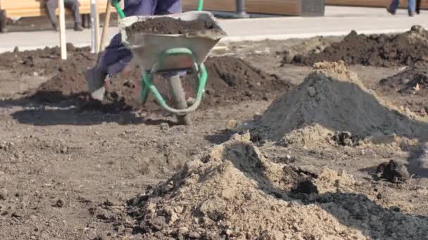 Os trabalhadores plantam mudas de árvores. Preocupação com o meio ambiente — Vídeo de Stock