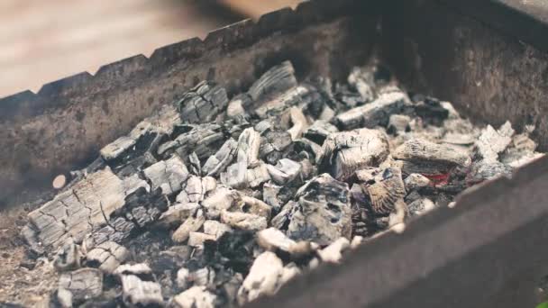 Płonący węgiel w żelaznym kozieradce. Przygotowanie do grilla. — Wideo stockowe