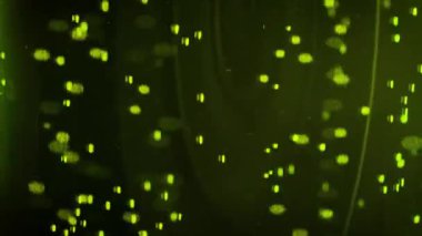 İçecekteki köpükler yükseliyor.