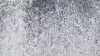 Doğrulamak için bir torrent su.