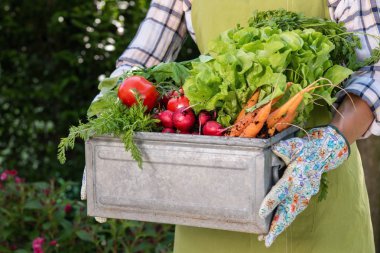 Unrecognisable kadın çiftçi holding sandık onun bahçesinde taze hasat sebze dolu. Homegrown biyo üretmek kavramı. Sürdürülebilir yaşam.