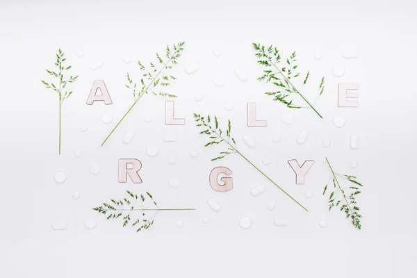 Allergie Allergenen Seizoengebonden Allergieën Minimale Gras Allergie Plat Lag Concept — Stockfoto