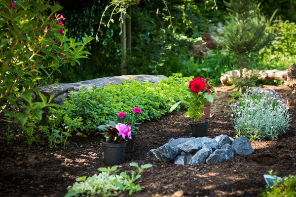 Tuinieren Prachtige Planten Klaar Voor Aanplant Zonnige Tuin Spring Garden — Stockfoto