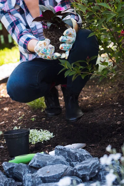 Jardinero Femenino Irreconocible Sosteniendo Flor Hermosa Lista Para Ser Plantada — Foto de Stock