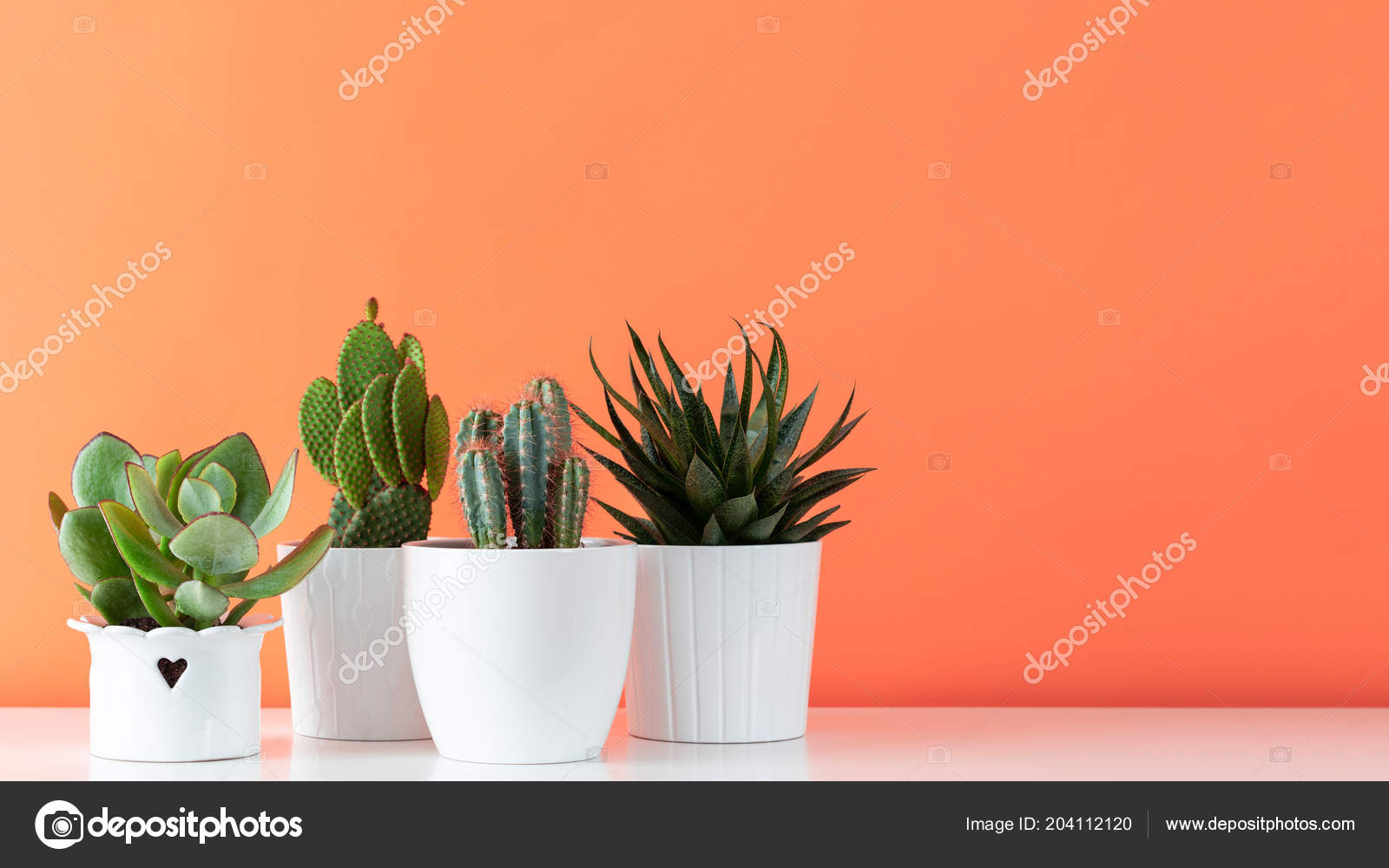 coleção de cactos e plantas da casa com caretas. conjunto de vasos