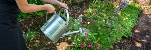 Mujer Irreconocible Regando Macizo Flores Usando Regadera Jardinería Concepto Hobby — Foto de Stock