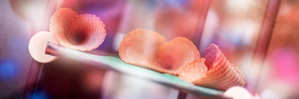 Empty sweet ice cream cones on display in gelateria. Icecream cones dreamy pink bokeh web banner. Gelato Summer Refreshment.