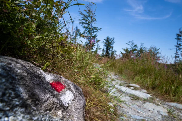 Wanderwegmarkierung Auf Einen Felsen Gemalt Weg Durch Den Wunderschönen Böhmerwald — Stockfoto