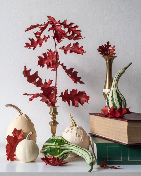 Thanksgiving Decoration Minimal Autumn Inspired Room Decoration Selection Various Pumpkins — Stock Photo, Image
