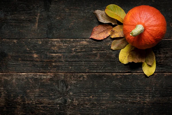 Herbsternte Und Feiertagsstillleben Fröhliche Dankbarkeit Hintergrund Kürbis Und Abgefallene Blätter — Stockfoto