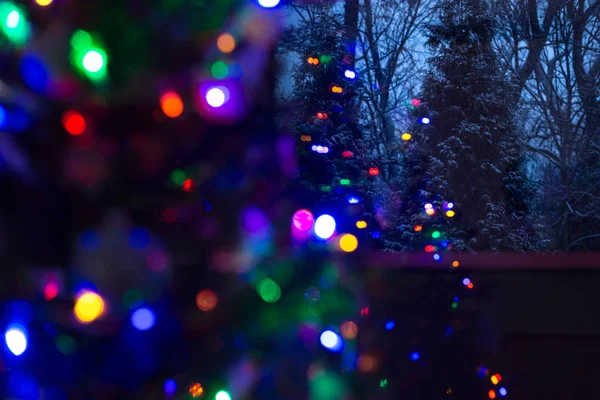 雪覆盖着常青树在晚上与弥散照亮了圣诞树在前景 圣诞节背景 — 图库照片