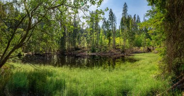 Boubin Gölü, ilkel orman, Bohemian Forest Ulusal Parkı.