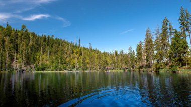 Prasily Gölü Sumava Ulusal Park, Çek Cumhuriyeti.