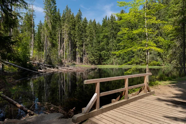 Boubin Sjön Urskogen Bohemian Forest National Park — Stockfoto