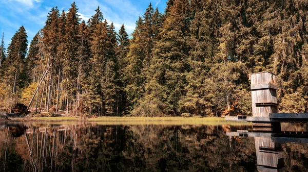 Boubin Sjön Urskogen Bohemian Forest National Park — Stockfoto