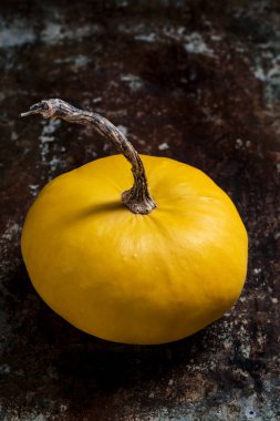 Mutlu Şükran Arka Plan. Rustik metal arka plan üzerinde küçük bir dekoratif kabak, kabak, yakın. Sonbahar Hasat ve Tatil minimal natürmort.