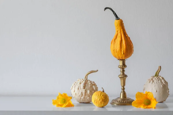 Thanksgiving Decoration Minimal Autumn Inspired Room Decoration Selection Various Pumpkins — Stock Photo, Image