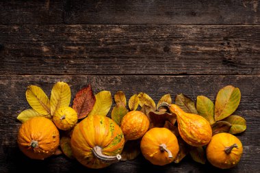 Mutlu Şükran günleri. Kabak ve koyu ahşap zemin üzerine düşen yapraklar. Sonbahar sebze ve mevsimlik dekorasyon. Sonbaharda hasat ve tatil natürmort. 