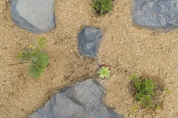 화강암 바위가 꼭대기 — 스톡 사진