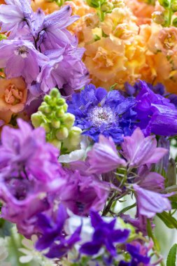 Mor ve mavi tonlarında taze kesilmiş bahar çiçeklerini kapatın. Güzel dezenyum, Canterbury çanları ve aslanağzı. Çiçek detay çekimi. 