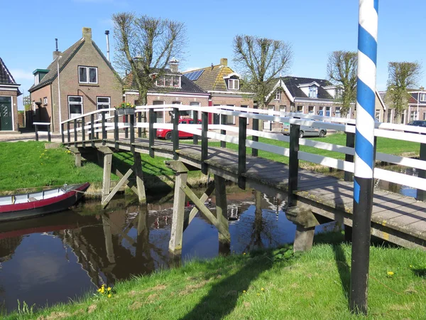 Top Pruned Trees Canal Dutch Fishing Village — Stock Photo, Image