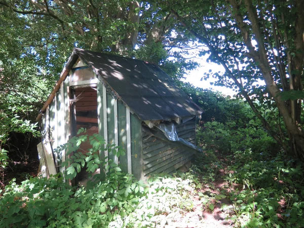 Large Wooden Doghouse Shady Trees Southern Danish Back Garden — Stock Photo, Image