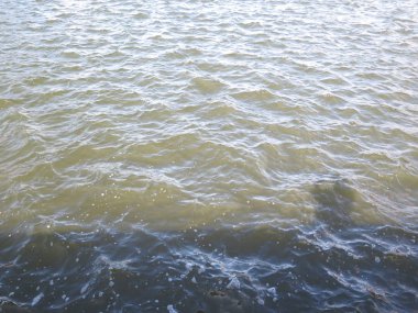 Felemenkçe köpüklü dalgalar üzerinde parlayan güneş balıkçı köyü liman