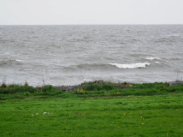 Green Grass Dike Choppy Waves Dutch Inland Sea — Stock Photo, Image