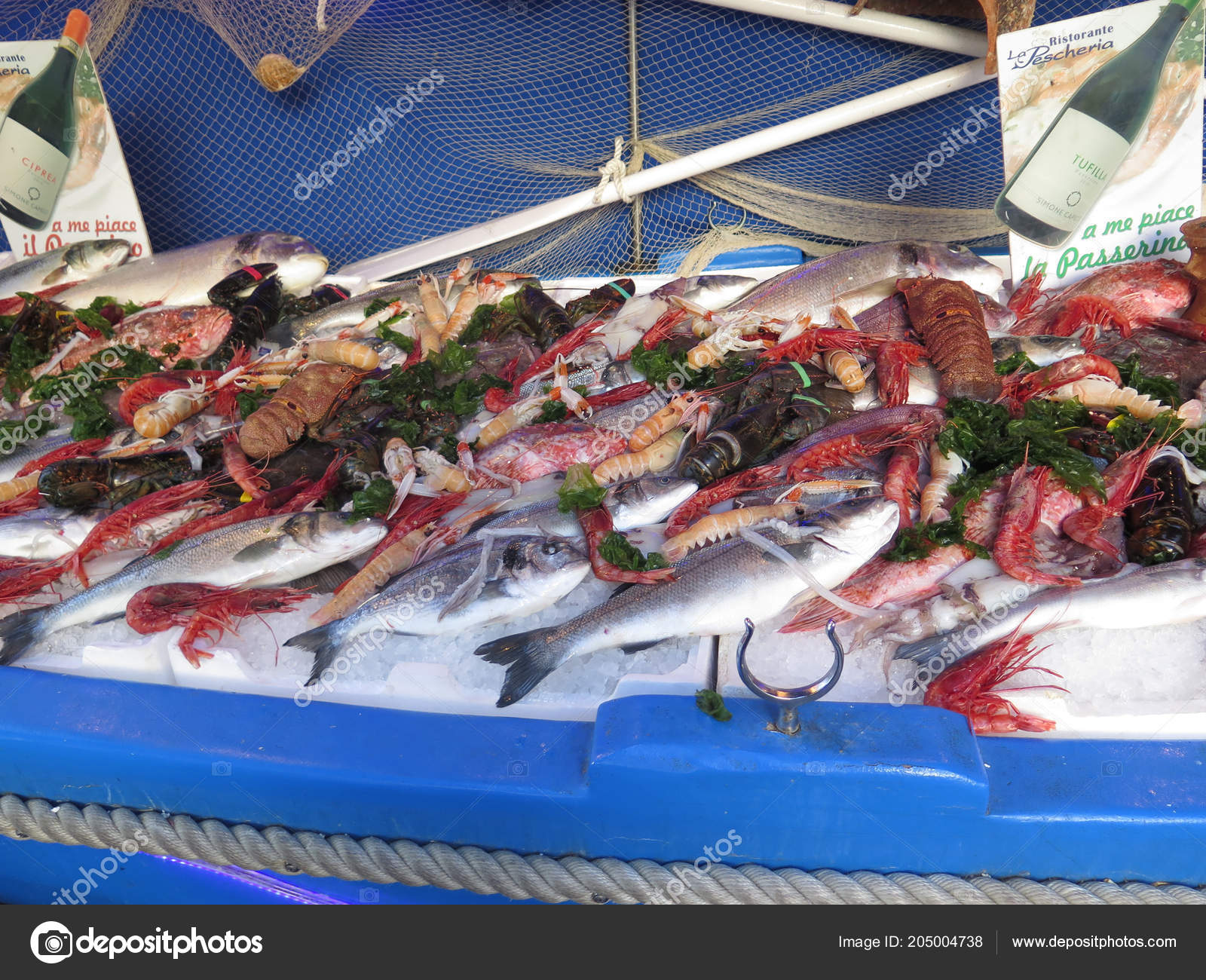 Gaeta Italia Ottobre 2017 Display Grande Pesce Fresco All Esterno
