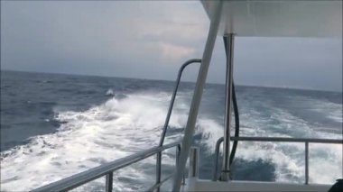 Endülüs 'ün Cebelitarık Boğazı' nda balina hızını seyrederken görülen omurga suyu.