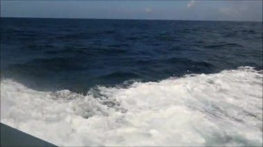 Endülüs 'ün Cebelitarık Boğazı' nda balina hızını seyrederken görülen omurga suyu.