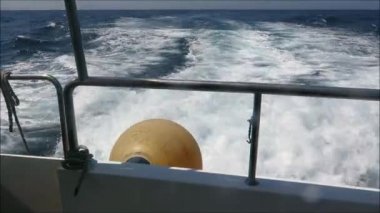 Endülüs 'ün Cebelitarık Boğazı' nda balina hızını seyrederken görülen omurga suyu.