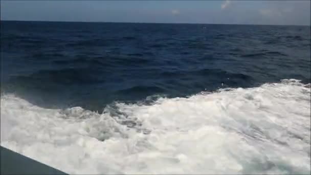 Eau Quille Vue Depuis Bateau Rapide Observation Des Baleines Dans — Video