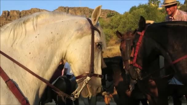アローラ スペイン 2018 フローレス アローラの守護聖人 アンダルシアの守護聖人に敬意を表して毎年行列のための高度な名誉ガードを形成する地元の騎手のグループ — ストック動画