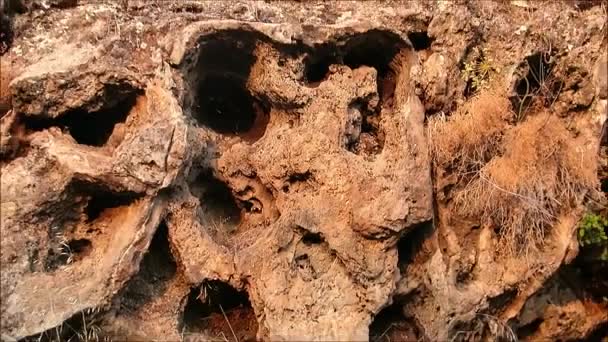 Roccia Intemperie Nell Andalusia Rurale Spagna Simile Cranio Umano — Video Stock