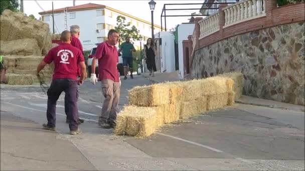 Alora Espagne Août 2018 Des Travailleurs Conseil Érigent Une Barrière — Video