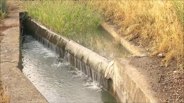 Eau Qui Coule Sur Petit Déversoir Niveau Canal Irrigation Campagne — Video