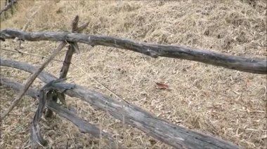 Alora, Endülüs yakınlarındaki tepelik arazide kırsal çit.