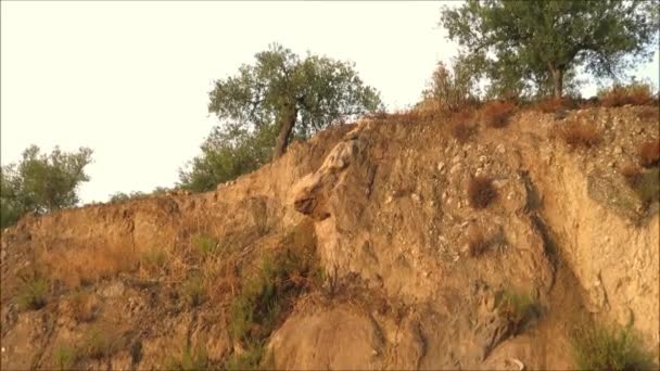 Cara Roca Con Gran Nariz Terraplén Cerca Del Pueblo Andaluz — Vídeos de Stock