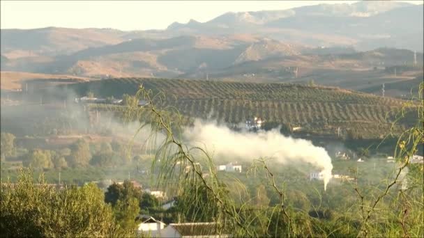 Landwirt Verbrennt Olivenbaumschnitt Hain Andalusischen Tal — Stockvideo