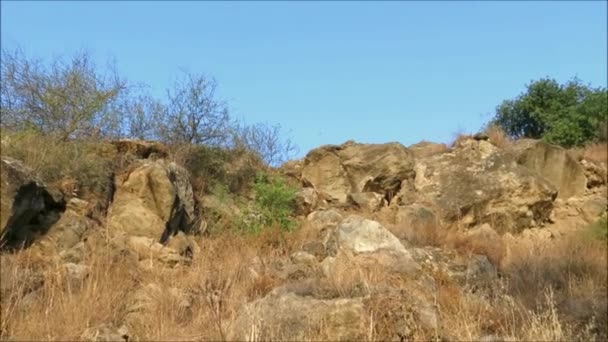 Endülüs Kırsalında Kayalıklar Mavi Gökyüzüne Karşı Büyük Bir Köpeğe Benziyor — Stok video