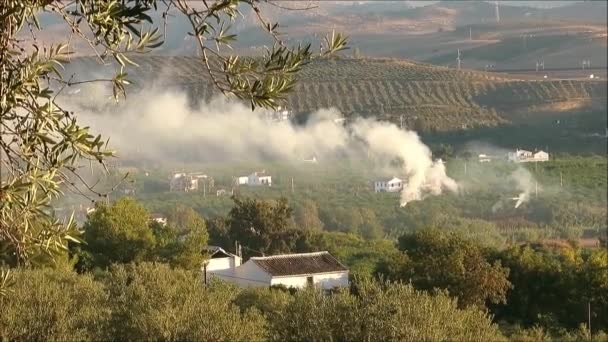 Landwirt Verbrennt Olivenbaumschnitt Hain Andalusischen Tal — Stockvideo