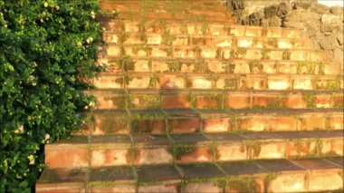 Güneşli bir günde Alora Endülüs yakınlarındaki Flores manastırı çan kulesi