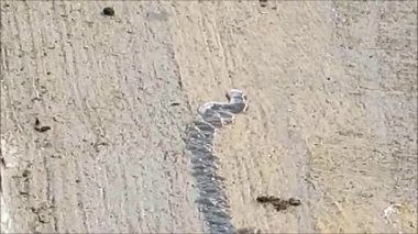 Endülüs 'te köy caddesinde akan su ırmağı.